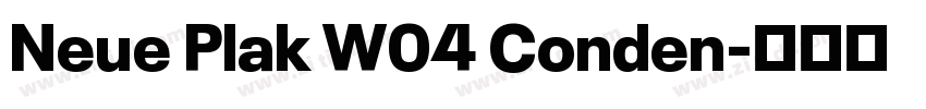 Neue Plak W04 Conden字体转换